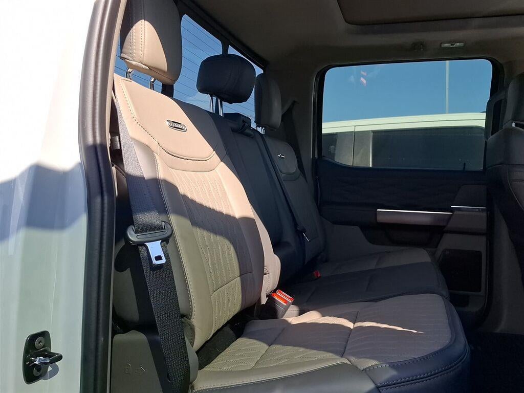 2025 Ford Super Duty F-450 Platinum