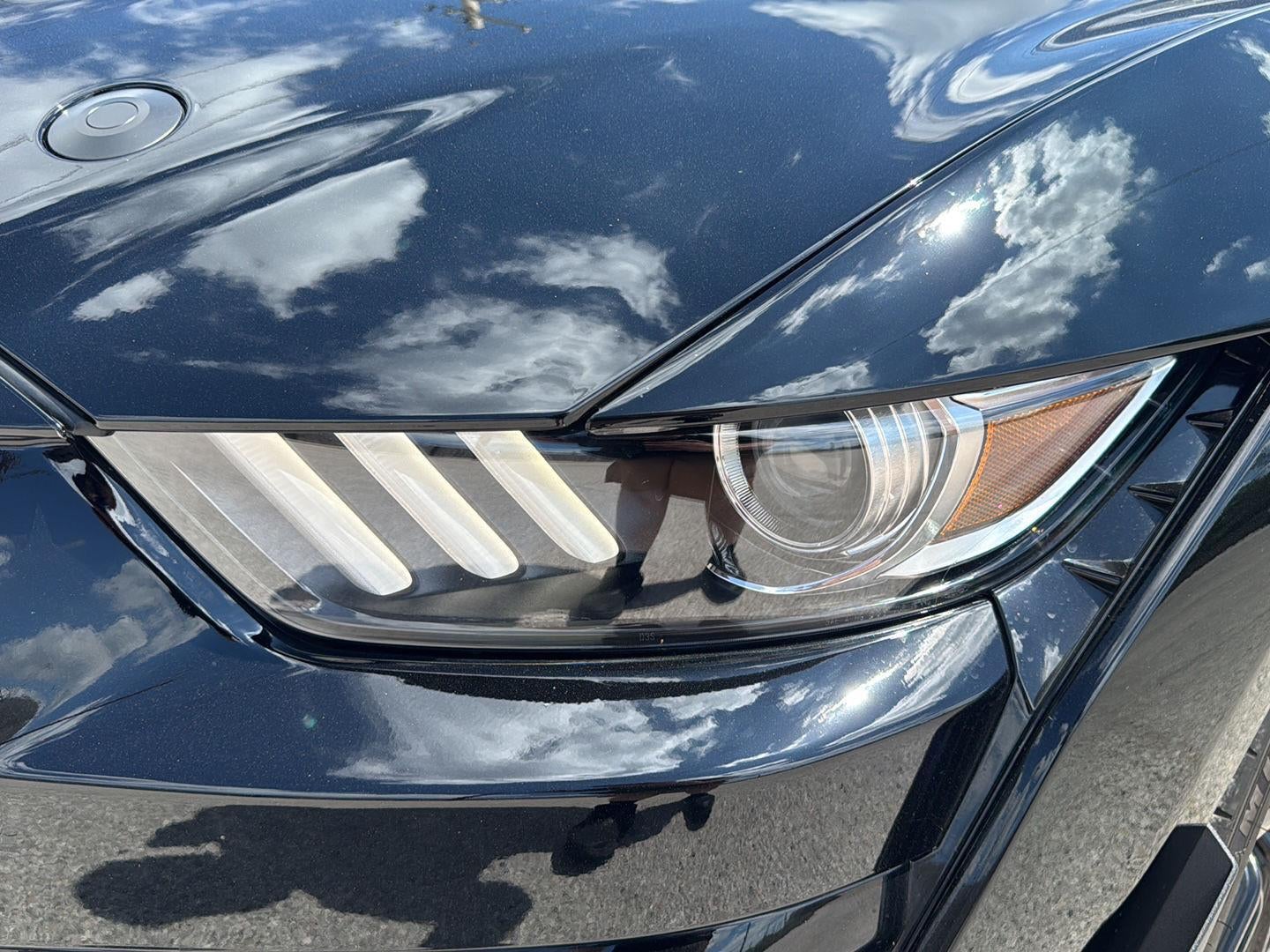 2022 Ford Mustang Shelby GT500