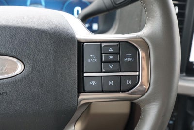 2025 Ford Super Duty F-450 Platinum