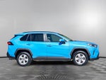 2019 Toyota RAV4 Hybrid XLE