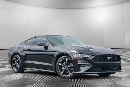 2022 Ford Mustang EcoBoost