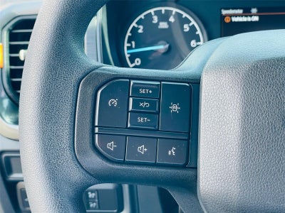 2021 Ford F-150 Tremor