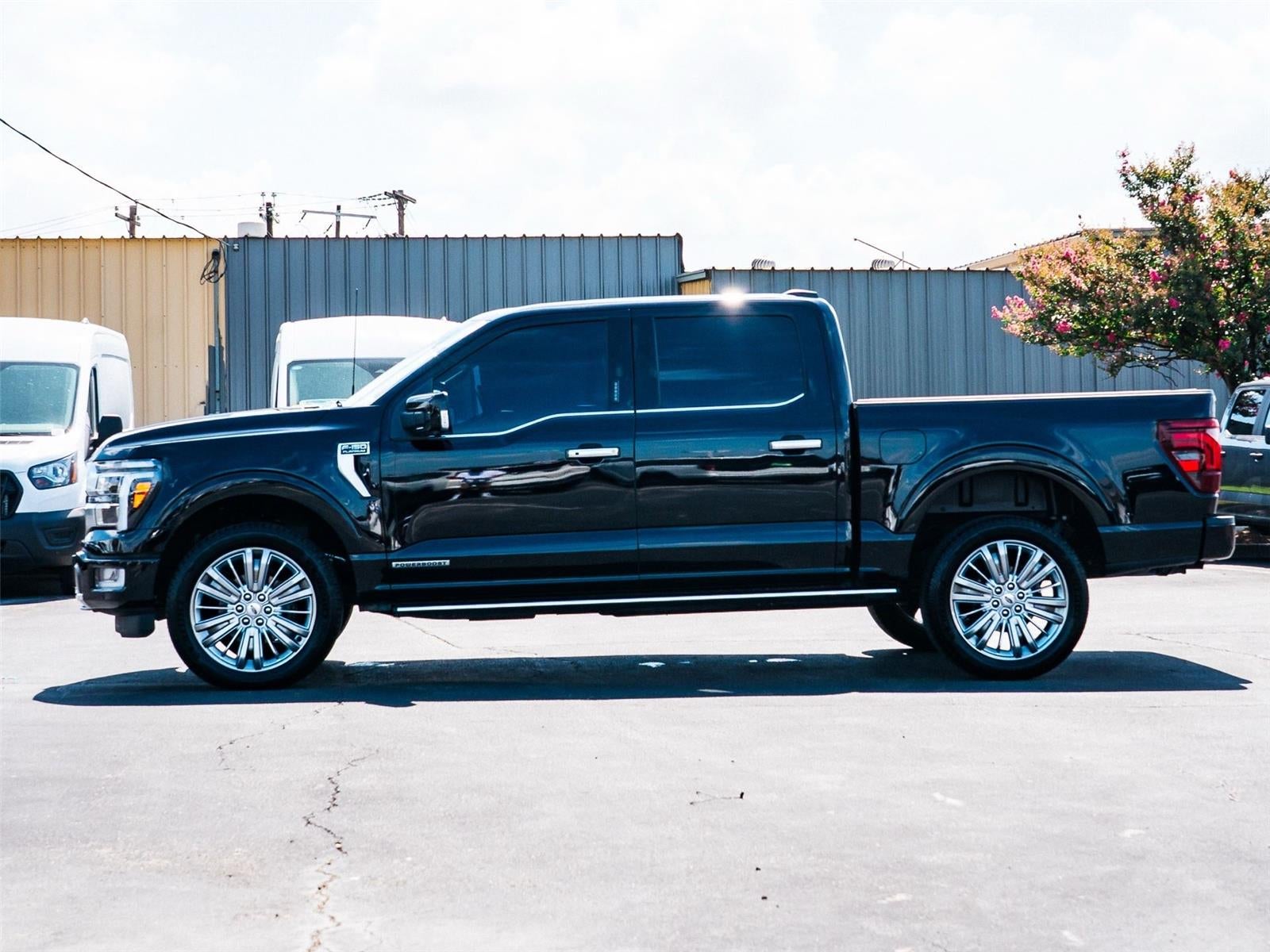 2024 Ford F-150 Platinum