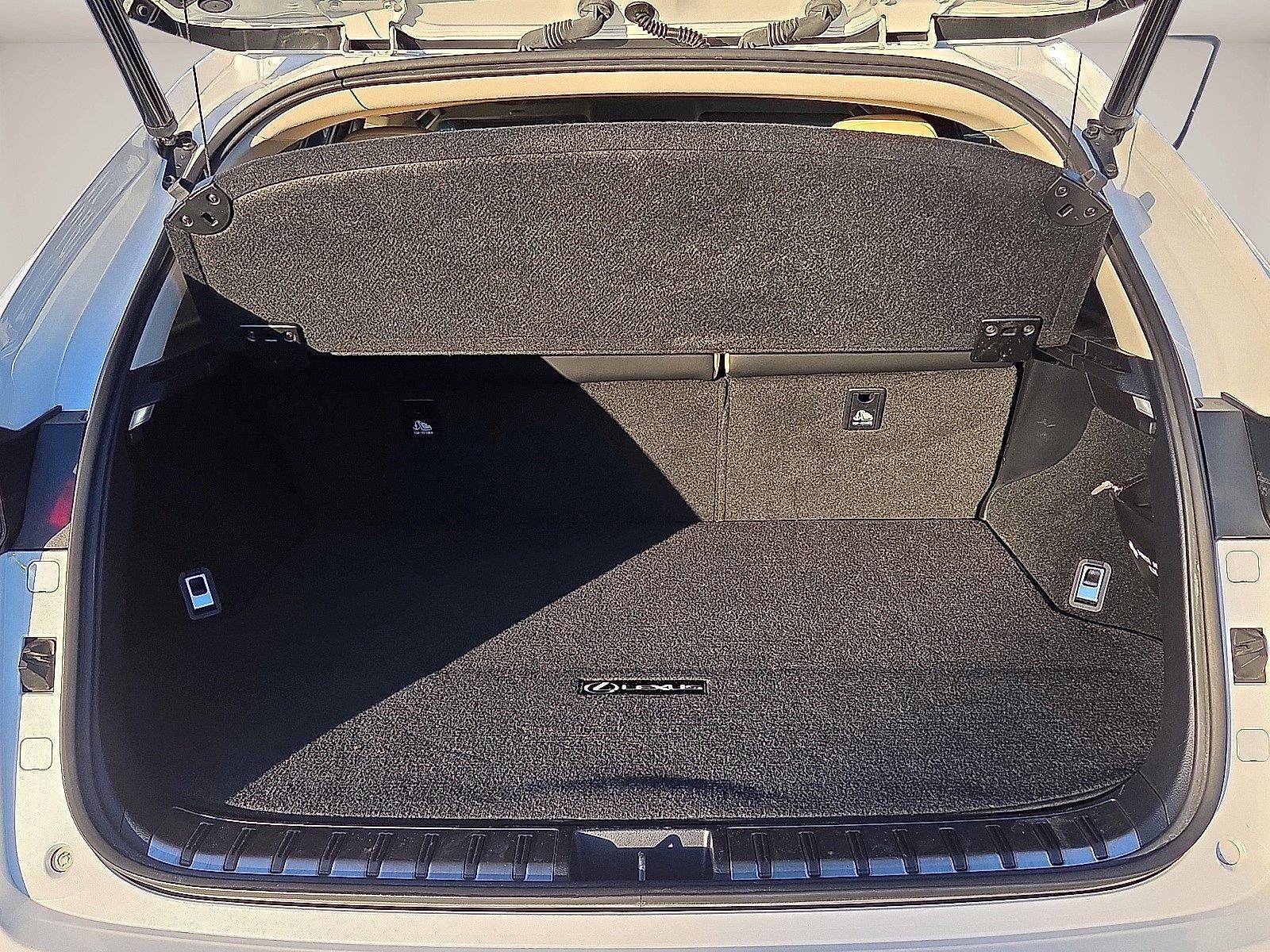 2019 Lexus NX NX 300h