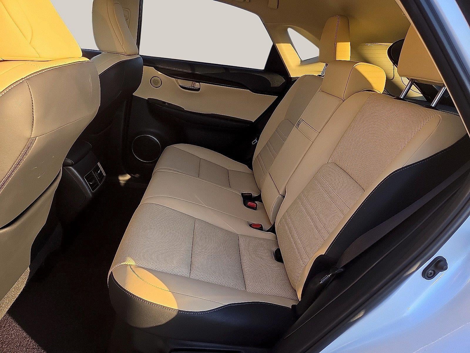 2019 Lexus NX NX 300h