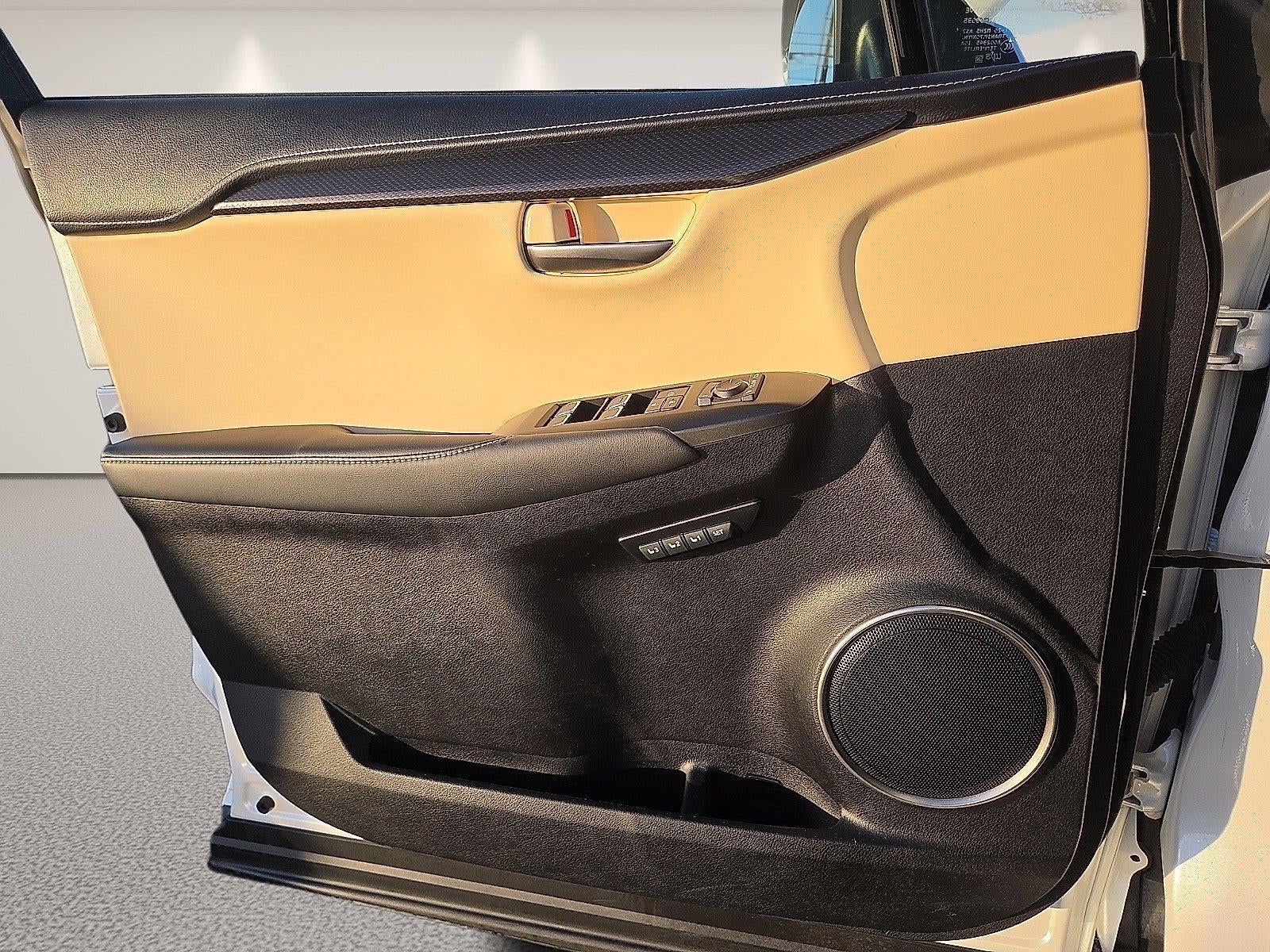 2019 Lexus NX NX 300h