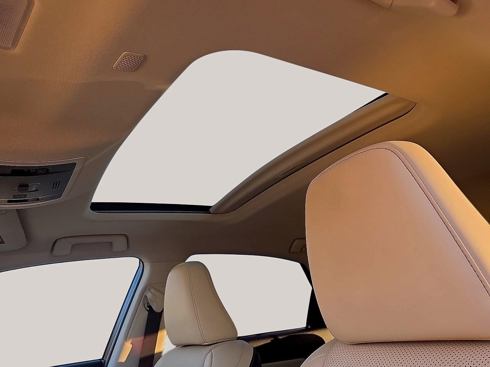 2019 Lexus NX NX 300h
